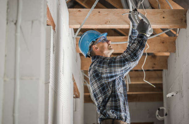 Best Local Electrician Companies  in Meadow Oaks, FL