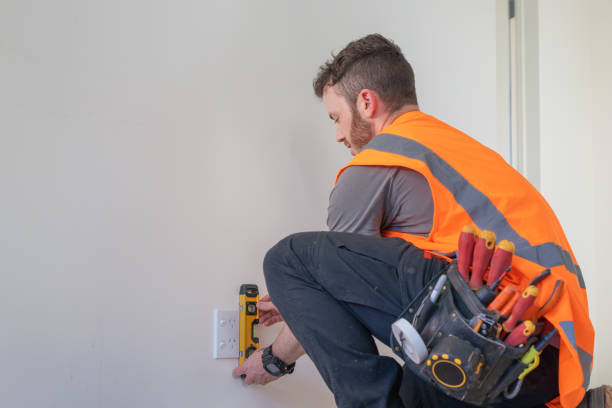 Best Affordable Electrician  in Meadow Oaks, FL