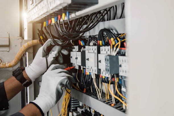 Best Electric Panel Repair  in Meadow Oaks, FL
